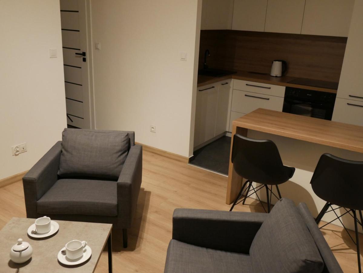 Appartamento Auschwitz New Flat For Rent Air Conditioning In The Apartament Oswiecim Nowe Mieszkanie - Centrum Klimatyzacja W Mieszkaniu Esterno foto